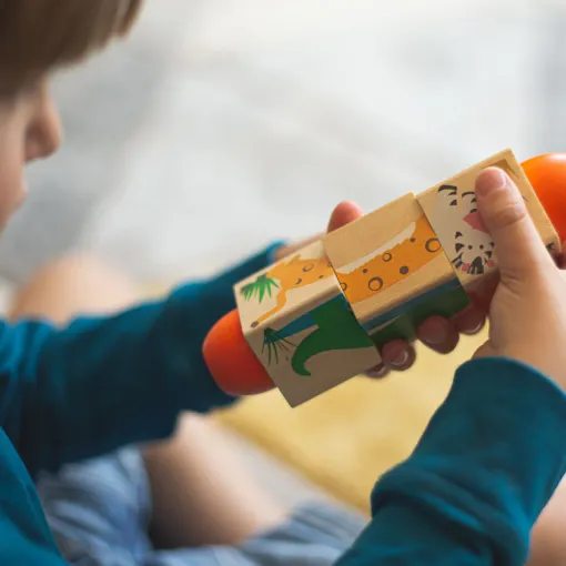 Bigjigs Toys Jungle Twist Blocks 3