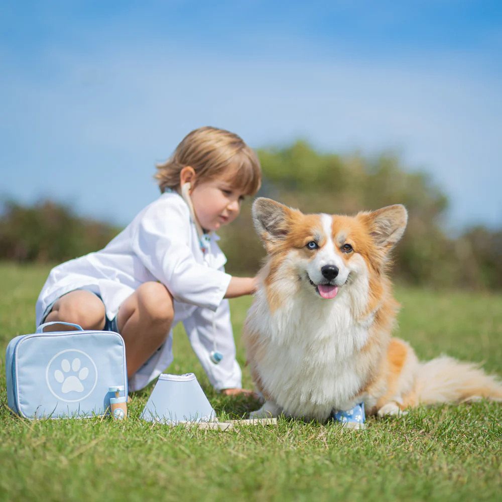 Bigjigs Veterinary Set - Image 8