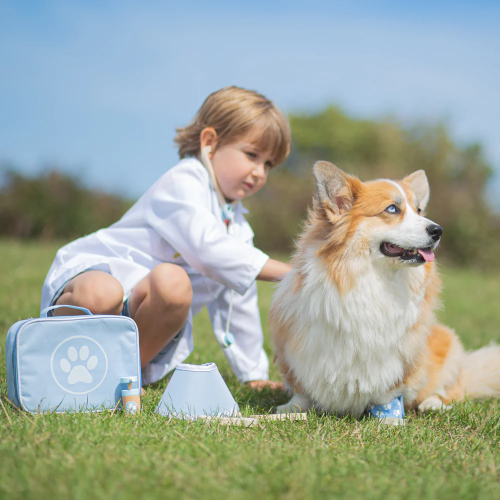 Bigjigs Veterinary Set - Image 9