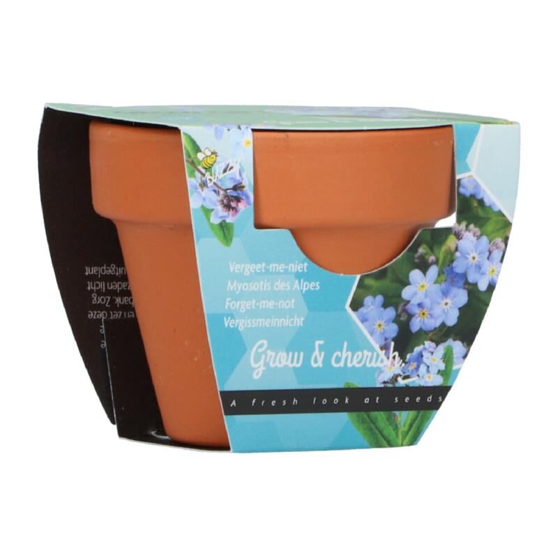 Buzzy Mini Grow Gift Forget Me Not