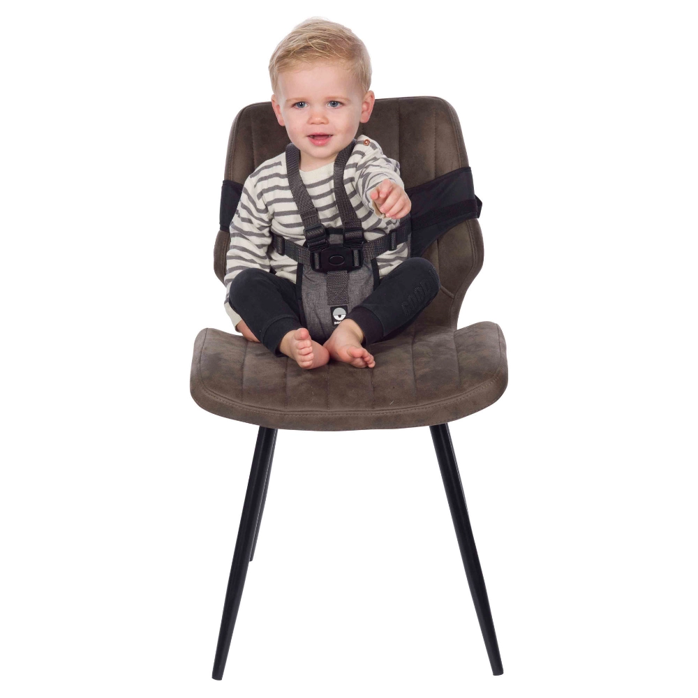 Dooky Travel Chair 12