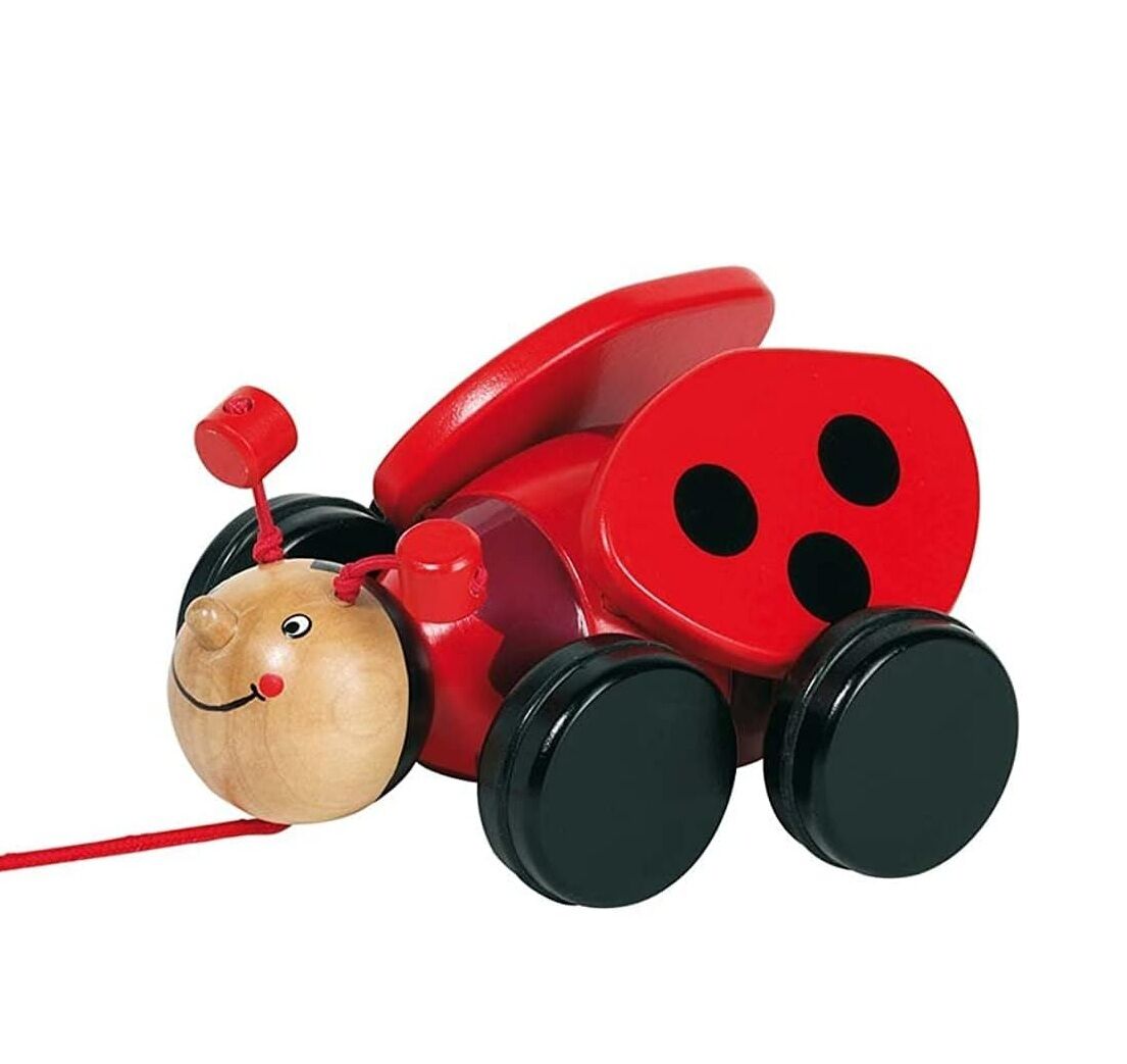 Goki Pull Along Ladybug