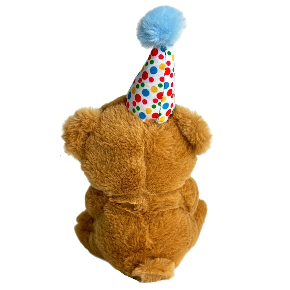 Happy Birthday Bear 5