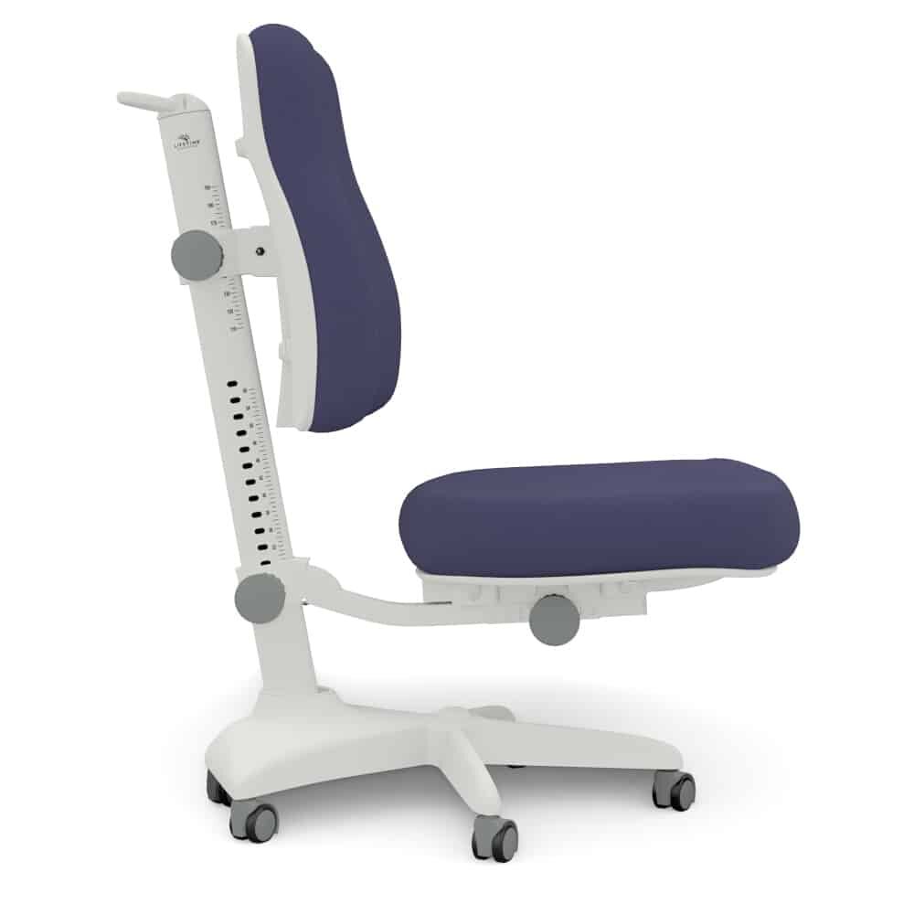 Lifetime Ergo Desk Chair