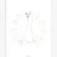 This Lilipinso Botany Poster - Swan And Flowers art print features a pretty Swan surrounded by summer flowers set in a white background.