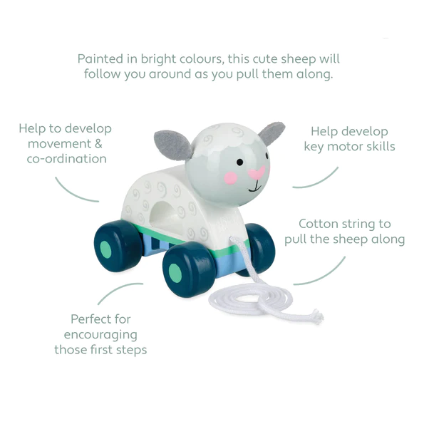 Orange Tree Toys Pull Along Sheep - Image 3