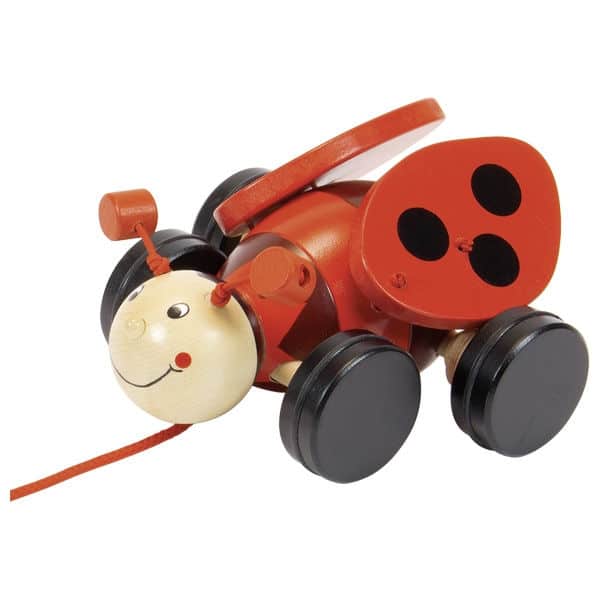 Pull Along Ladybird Lil