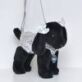 black labrador