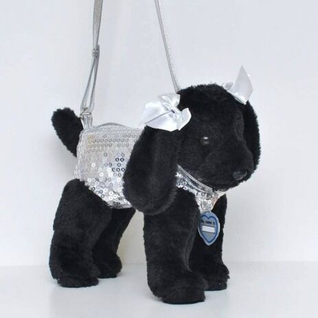 black labrador