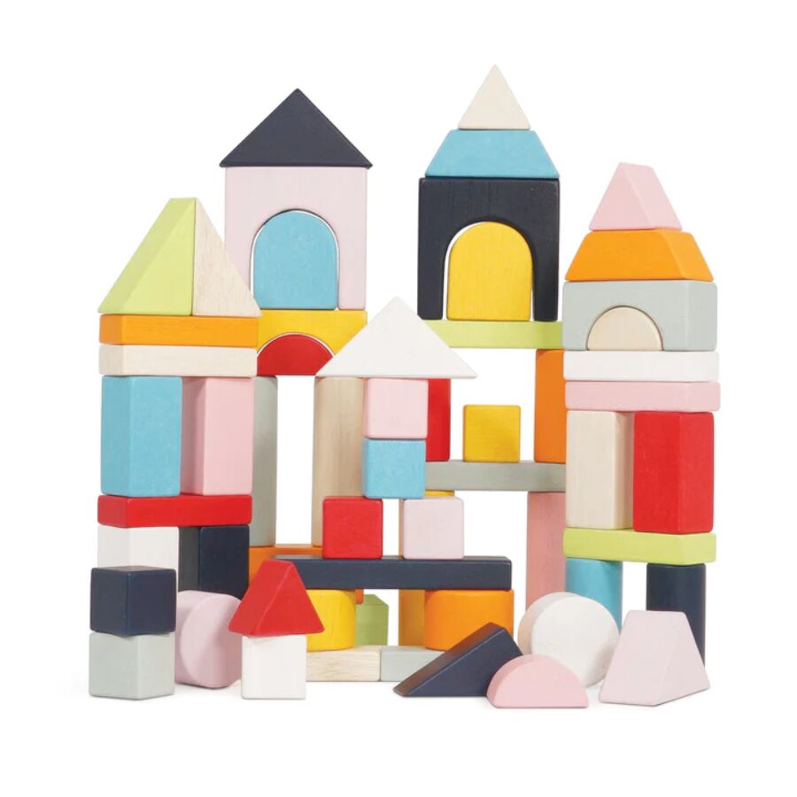 Le Toy Van Building Blocks & Cotton Bag